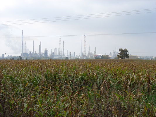 Kombinat od strony Trzepowa
