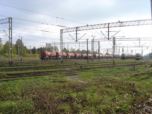 Bocznica kolejowa - Trzepowo
