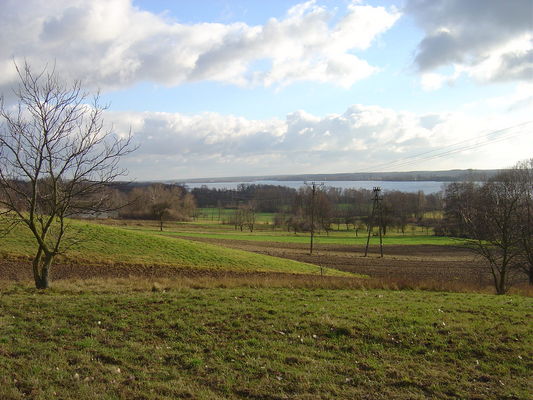 Murzynowo - widok w kierunku Płocka
