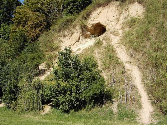 Jaskinia w rejonie Zalewu Sobótka
Słowa kluczowe: skarpa jaskinia
