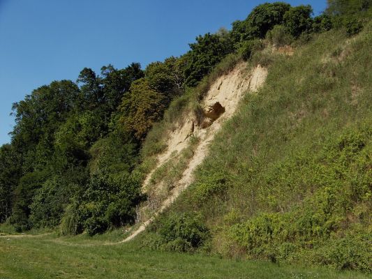 Jaskinia w rejonie Zalewu Sobótka
Słowa kluczowe: skarpa jaskinia