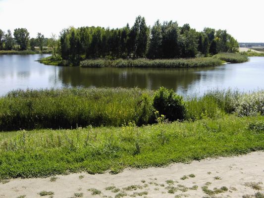 Zalew Sobótka
Zdjęcie wykonano od strony skarpy.
Słowa kluczowe: Zalew Sobótka