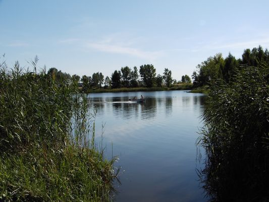 Zalew Sobótka
Na zdjęciu widoczna jest płynąca po zalewie motorówka.
Słowa kluczowe: Zalew Sobótka