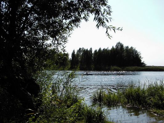 Zalew Sobótka
Słowa kluczowe: Zalew Sobótka