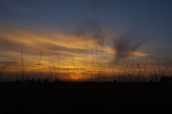 Ostatnie promienie słońca nad płockim lotniskiem
Słowa kluczowe: lotnisko, zachód słońca