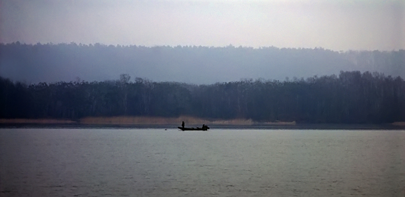 wiślane świtanie
połowy
