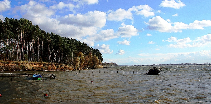 Wisła - okolice przystani żeglarskiej w Brwilnie.
