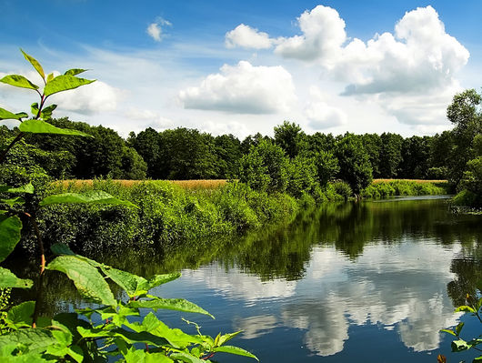 Skrwa
okolice Lasotek
