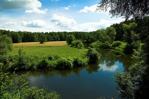 Skrwa
okolice Lasotek
