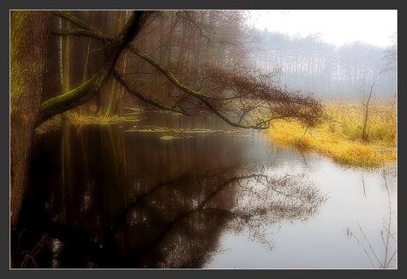 Ścieżka dydaktyczna Gostynińsko-Włocławskiego Parku Krajobrazowego. Przystanek nr.3 - jezioro Soczewka.
Powierzchnia jeziora wynosi 35,5 ha. Jezioro powstało wskutek spiętrzenia rzeki Skrwy lewej Maksymalna głębokość jeziora wynosi 6 m. Wody zaliczane są do III klasy czystości. W obniżeniach terenowych przy jeziorze występują fragmenty lasów z drzewostanem olszowym tworzącym łęg jesionowo - olszowy. Bogatszy jest tutaj również podszyt i bujniejsze runo. W toni jeziora można dostrzec skupiska roślin wodnych ( grążel żółty ) . Pas szuwarów jest miejscem gniazdowania trzcinnika, rokitniczki i potrzosa. 
