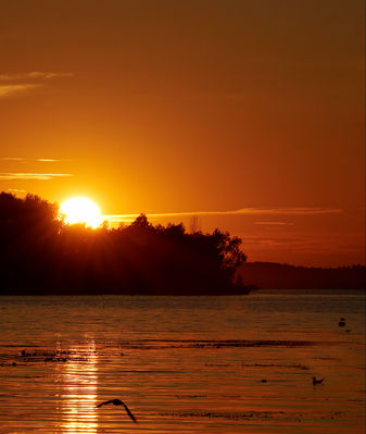 Wisła - okolice Duninowa
