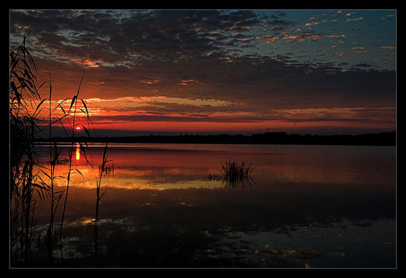Wisła / na wysokości Popłacina
zachód słońca
