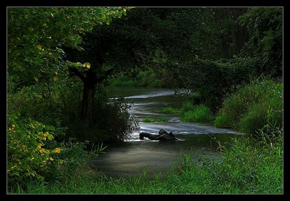 Rzeka Skrwa
w pobliżu Kobiernik
