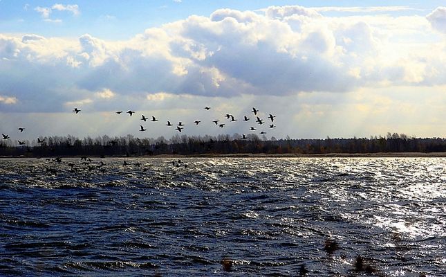 Wisła - okolice Brwilna.
