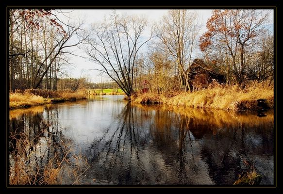 Wyspa na rzece Skrwie (okolice Lasotek)
specjalna dedykacja dla Crioxa
