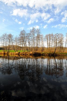Rzeka Skrwa - okolice Cierszewa.
