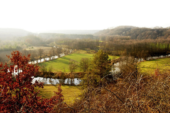 Dolina Skrwy
w okolicach Lasotek
