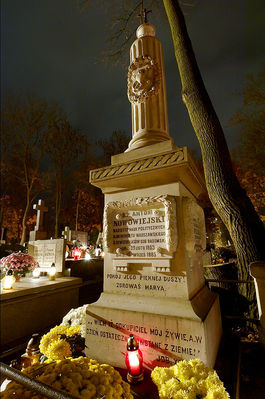 Stary Cmentarz al. Kobylińskiego
Arcybiskup Antoni Julian Nowowiejski urodził się 11 lutego 1858 r. we wsi Lubieniec w parafii Krynki pod Opatowem. Nauki pobierał początkowo w domu rodzinnym, potem uczył się w gimnazjum w Radomiu. Jako uczeń wyróżniał się pracowitością, pilnością i systematycznością.
W 1873 r. rodzice postanowili przenieść się do Płocka, gdzie w rok później, w wieku szesnastu lat wstąpił do seminarium. Po ukończeniu studiów seminaryjnych, 19 czerwca 1978 r. został skierowany na dalsze studia do Akademii Duchownej w Petersburgu.
Święcenia kapłańskie przyjął 10 lipca 1881 r. z rąk biskupa Aleksandra Gintowna. W tym samym roku rozpoczął pracę w płockim Seminarium Duchownym, gdzie był profesorem liturgiki, łaciny, teologii moralnej. Pełnił też funkcję wikariusza w parafii św. Bartłomieja, rektora kościoła poreformackiego. W latach 1901-1908 pełnił funkcję rektora seminarium. 12 czerwca 1908 r. otrzymał od papieża Piusa X nominację na biskupa płockiego. Sakrę biskupa przyjął dnia 6 XII 1908 r. w Petersburgu z rąk biskupa Wnukowskiego.

Diecezją płocką kierował przez 33 lata. Jako biskup udzielał sakramentu bierzmowania, wizytował parafie, głosił konferencje, nauczał ludzi. Antoni Nowowiejski troszczył się o kapłanów i właściwą formację kandydatów do kapłaństwa. Aby zapewnić właściwe warunki do nauki zainicjował budowę nowoczesnego gmachu Biblioteki Seminaryjnej i Archiwum Diecezjalnego, jego dziełem jest też ustanowione w 1916 r. Niższe Seminarium Duchowne, oraz założona w 1917 r. Płocka Szkoła Organistowska.
W trakcie swej biskupiej posługi przeprowadził dwa Synody Diecezjalne. Szczególną pasją Arcybiskupa była historia. Napisał będące do dziś cennym źródłem historycznym dzieło p.t. "Płock. Monografia historyczna" oraz utworzył Muzeum Diecezjalne. W roku 1930 otrzymał od papieża Piusa XI honorowy tytuł arcybiskupa Silyum.

Najazd Niemców na Polskę był dla 81-letniego biskupa strasznym doświadczeniem. Mimo możliwości opuszczenia Płocka i przetrwania wojny w ukryciu pozostał na straży swojej diecezji. Chciał do końca być jak pasterz ze swoimi owcami. 28 listopada 1940 r. wraz z biskupem Leonem Wetmańskim został wywieziony z Płocka i internowany w Słupnie. 7 marca 1941 r. został ponownie aresztowany i przewieziony do obozu koncentracyjnego w Działdowie, gdzie prawdopodobnie 28 V 1941 r. poniósł śmierć męczeńską.

Myśl o beatyfikacji arcybiskupa Antoniego Nowowiejskiego narodziła się w związku z przygotowaniami do beatyfikacji biskupa Michała Kozala, jednego z męczenników II wojny światowej. W 1986 r. podczas dyskusji nad jego męczeństwem, pojawiła się opinia, żeby przy przyszłej kanonizacji "Mistrza Męczenników", jak nazywano biskupa Kozala, dołączyć towarzyszy męczenników, którzy ponieśli śmierć w podobnych okolicznościach. Przekonanie to zostało później potwierdzone w dekrecie o męczeństwie biskupa.
