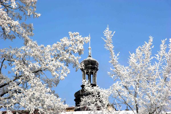  Kościół Św. Dominika
