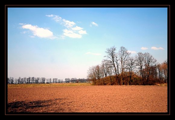Grodzisko w Orszymowie
GRODZISKO zwane Kopcem. Usytuowane na krawędzi wzniesień prawego brzegu doliny rzeczki Strugi. Z w. XI-XII i XIII. Stożkowe, o średnicy ok. 16 m, z zachowanymi resztkami fosy dookolnej i śla­dami wału. Istniała tu zapewne drewniana wieża-stołp wzniesiona na nasypie ziemnym, umocniona kamieniami. Badania sondażowe prze­prowadzone 1966.
Grodzisko wpisane do rejestru zabytków w dniu 06 grudnia 1967 roku pod pozycją 423/772/W .
