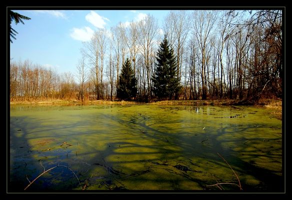 dolina rzeczki Strugi
Orszymowo
