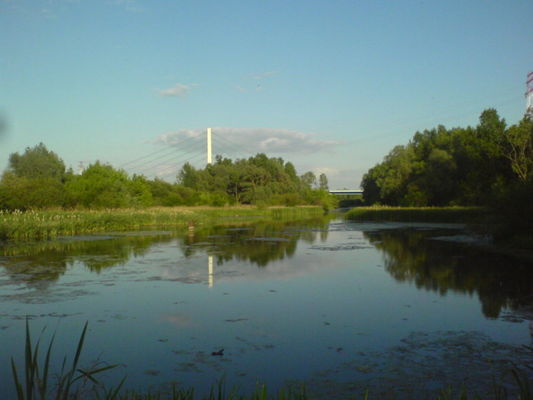 Zakątek z mostem w tle.
