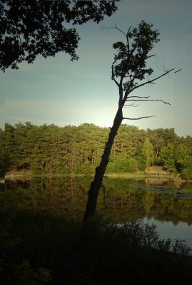 jeziorko w Grabinie koło Płocka
