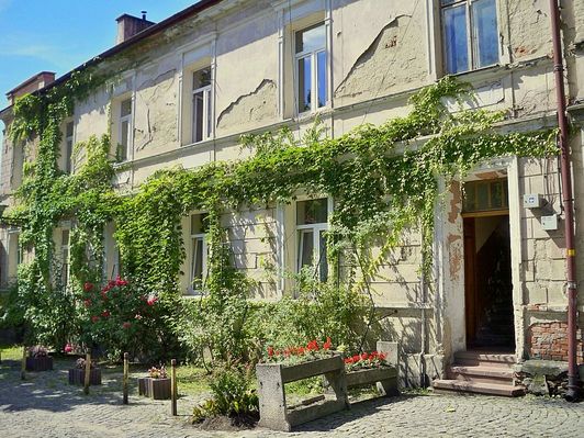 "W dzikie wino zaplątana"
Kamienica obok pomnika Broniewskiego.
