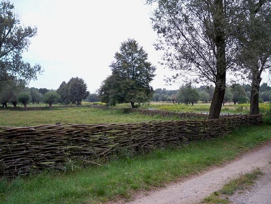 PŁOT
Gloger w "Encyklopedii staropolskiej" zapisał -"Płot duży, stary i miejscowość nim ogrodzoną zwano zgrubiałe płocko, stąd powstały stare nazwy: Płocko nad Wisłą i Połocko nad Dźwiną, później skrócone na Płock i Połock".
