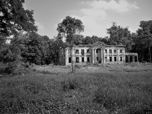 Studzieniec
Wykarczowanie zarośli odsłoniło widok na zrujnowany klasycystyczny pałac z XVIII w.
Słowa kluczowe: Studzieniec pałac