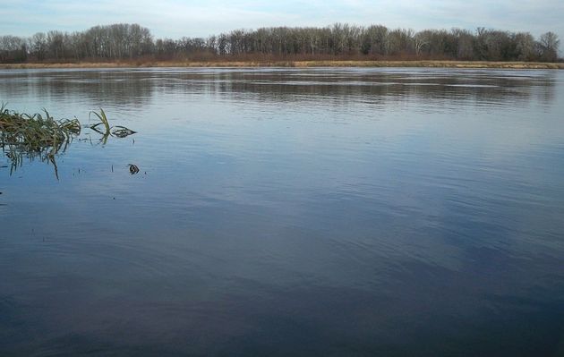 Hej! ty Wisło modra rzeko...
Wisła z widokiem na Kępę Ośnicką.
