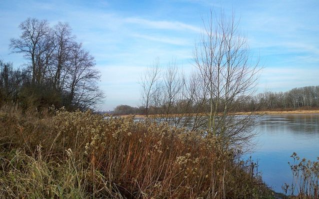 Nadwiślański widok 
z ul. Nadwiślańskiej, po prawej Kępa Ośnicka.
