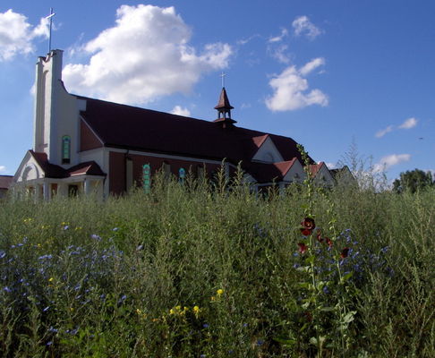 Kościół wśród ziół - rankiem
