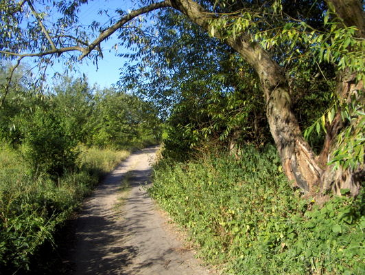 Parowa
Najdziksza ulica w Płocku
