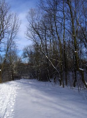 Zaśnieżona ul. Parowa
Słowa kluczowe: Skarpa Parowa