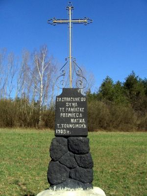 Epitafium
Przydrożne epitafium w okolicy Murzynowa.
Słowa kluczowe: Murzynowo