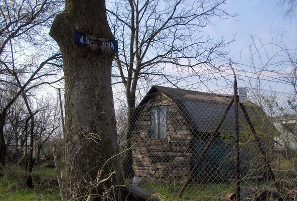 "ULICOŻERCA"
Drzewo obok ogródków działkowych przy ul. Szpitalnej
Słowa kluczowe: Winiary działki