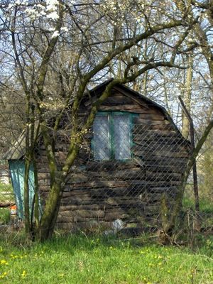 "Pamiętajcie o ogrodach" (działkowych)
Wspomnienie wiosny.
Słowa kluczowe: Winiary