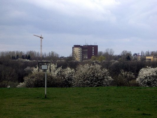 Szpital w rozbudowie
Widok ze Skarpy na Jar Brzeźnicy i Winiary.

