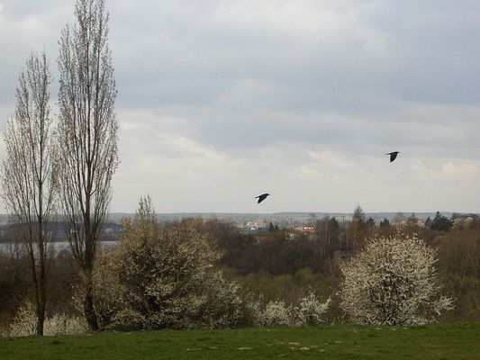 Lecą ...gawrony
Widok ze Skarpy na bliższą i dalszą okolicę.
