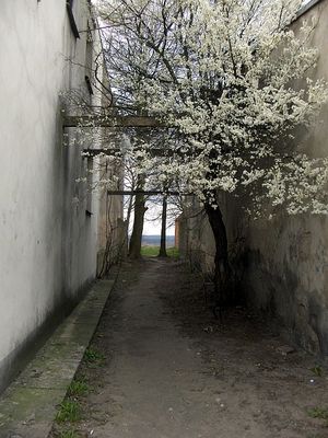 Przechodniak z widokiem
Przejście między posesjami 15 i 19 przy ul. Kazimierza Wielkiego.
