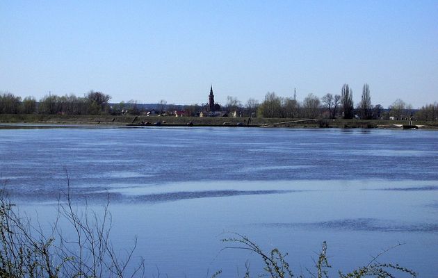 Za wielką wodą
Za rzeką i za wałem - centrum Radziwia.
Słowa kluczowe: Radziwie Wisła