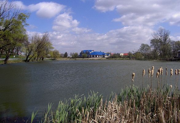 Staw w Siecieniu
Na horyzoncie kompleks handlowo-gastronomiczny.
Słowa kluczowe: Siecień