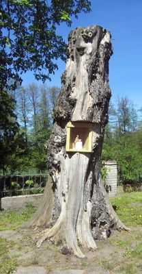 Kapliczka w Trzepowie
Słowa kluczowe: Trzepowo