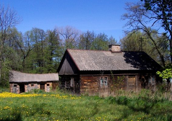 Opuszczone gospodarstwo w Trzepowie
Słowa kluczowe: Trzepowo