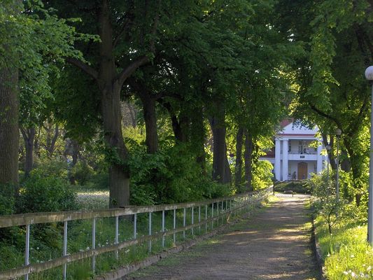 Miszewo Murowane
Aleja do dworu.
Słowa kluczowe: Miszewo