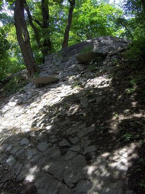Wspomnienie lata
Skarpa obok alejki, prowadzącej od ul. Mostowej na Tumskie Wzgórze.

