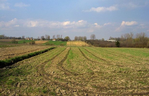 Wiosenne pola w Czermnie
