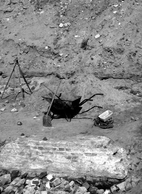 Fajerant i po robocie
Wykopaliska na Placu 13 Straconych.
