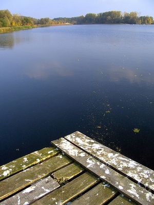 Tu byłyśmy! - Mewy
Przystań w Murzynowie.
Słowa kluczowe: Murzynowo